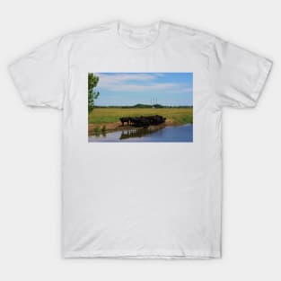 Angus Cow's at the Watering Hole T-Shirt